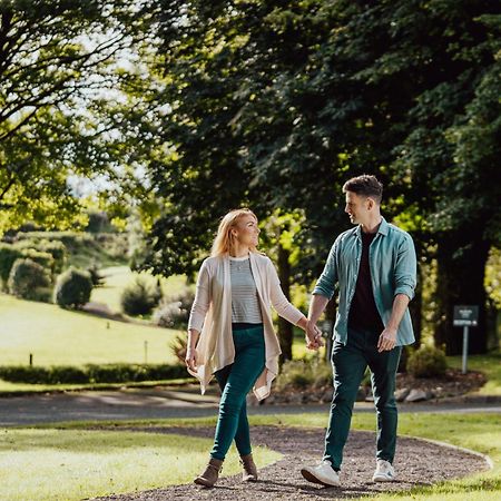 Millbrook Lodge Ballynahinch Экстерьер фото